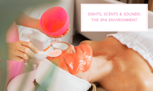 Sights Scents and Sounds Course